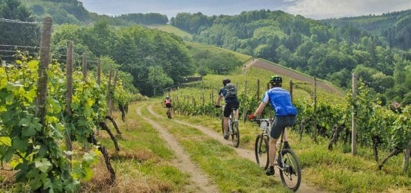 Atterra e riparti in bici - Image 4