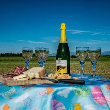 Atterraggio e colazione / aperitivo dell'aeronauta a base di prodotti locali